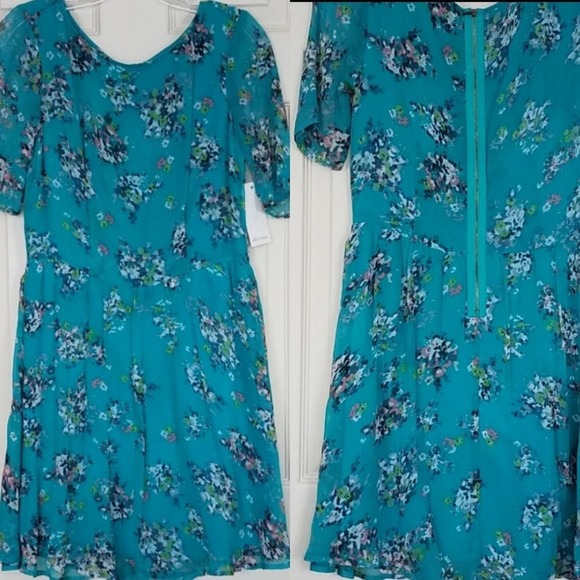 Ella Moss Citrus Floral Dress Teal Green Size M - Picture 4 of 9